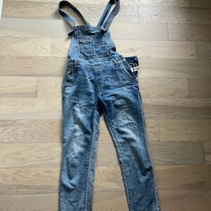 Free People Light Blue Denim Overalls
